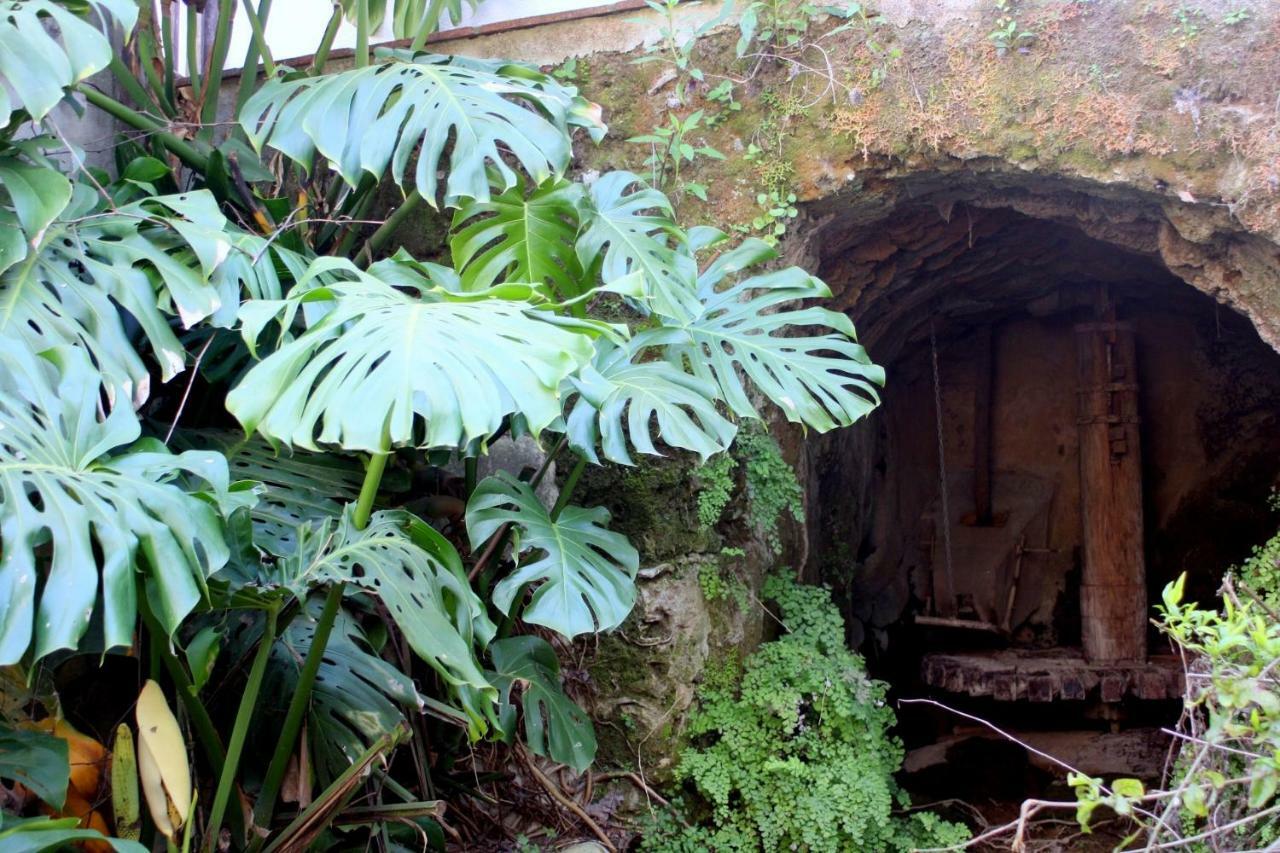 Molino Maroto Casa Rural Villa Alhaurin el Grande Luaran gambar